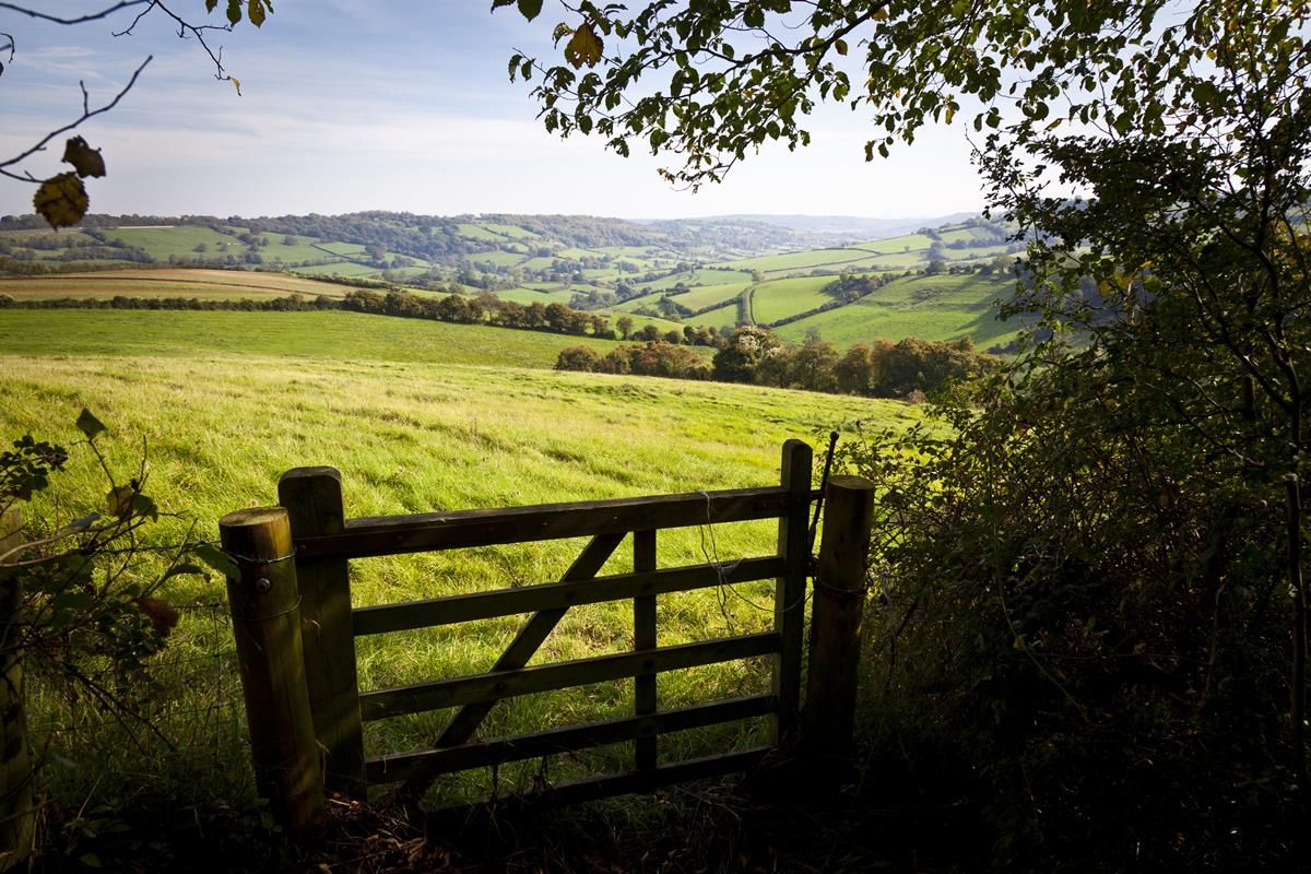 NI total income from farming figures fell by 25% in 2019
