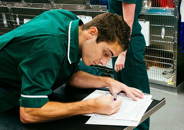 CAFRE to become Northern Ireland’s first VetSkill centre