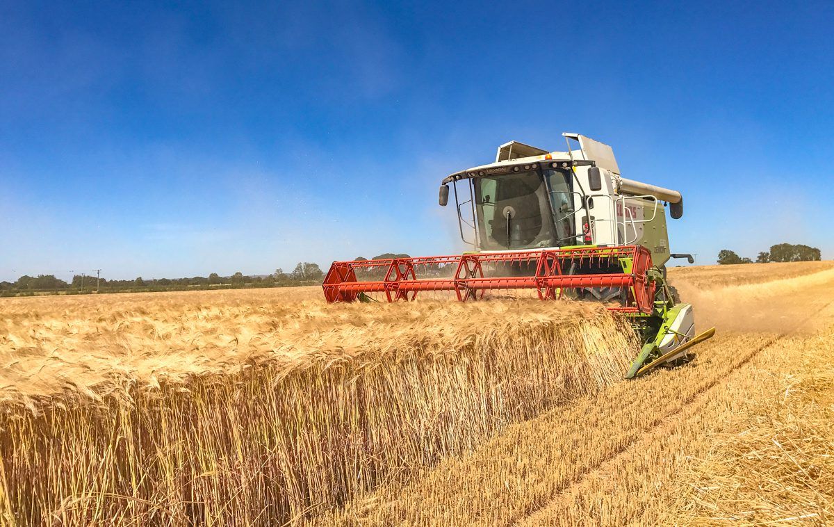 Mixed fortunes as NI crop yields and production estimates published