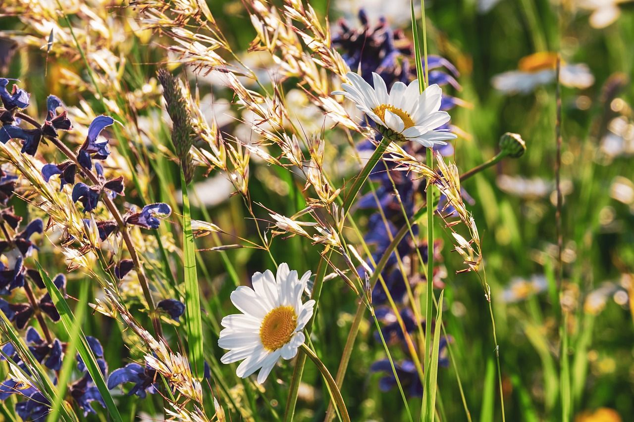 OEP: Urgent action needed to protect key nature areas in NI