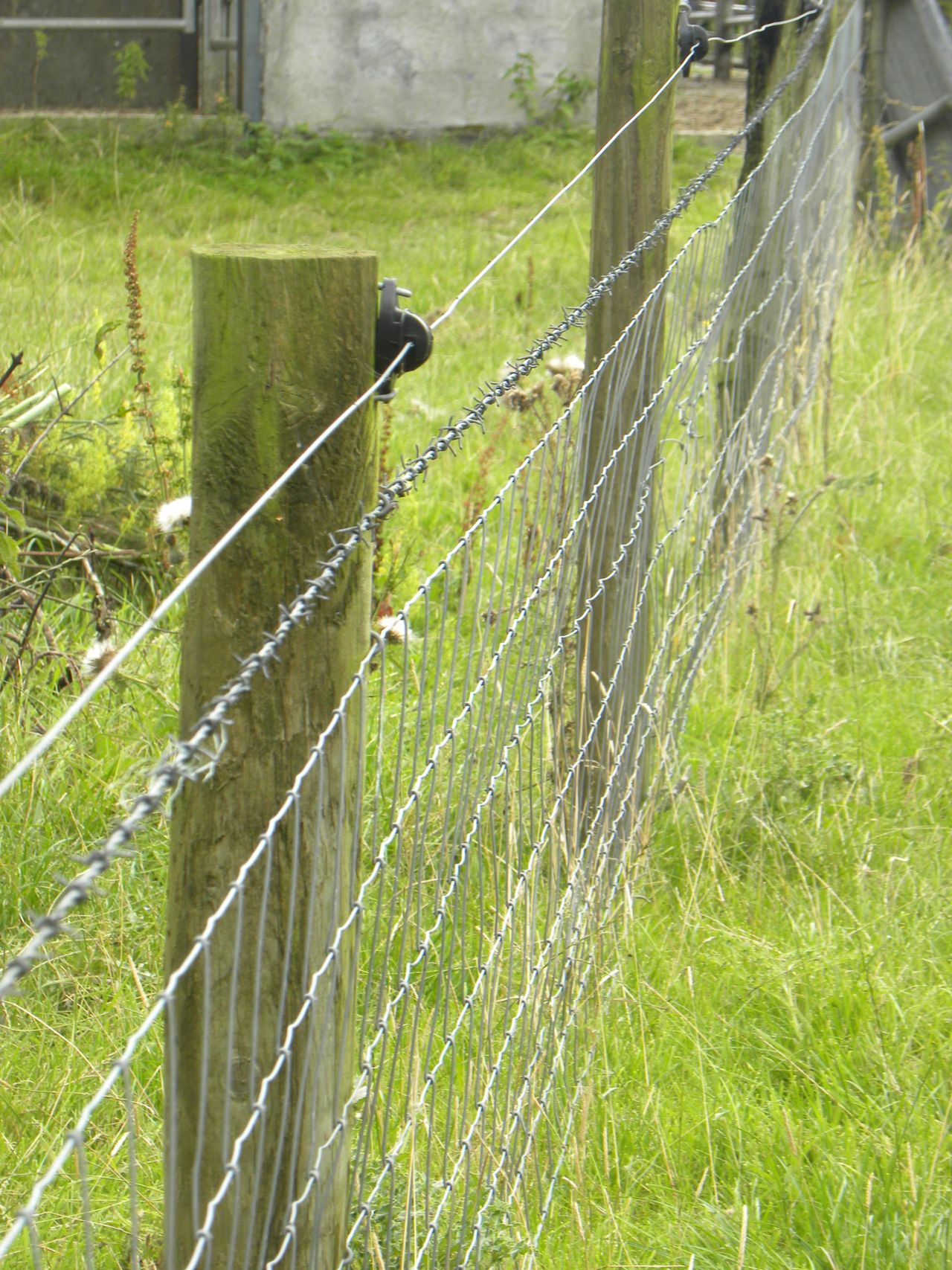 Sheep farmers still waiting on the approval of fencing for grant aid