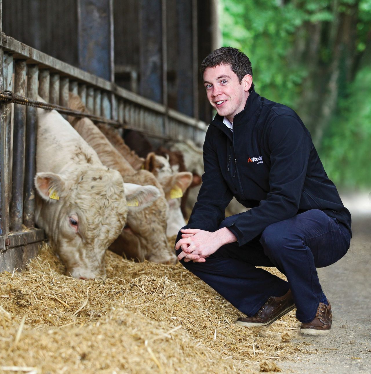 Getting purchased cattle off to the best possible start