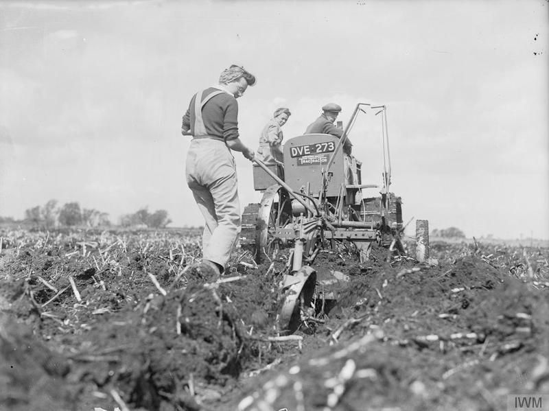 WWI: What can we learn from the few who fed the many?