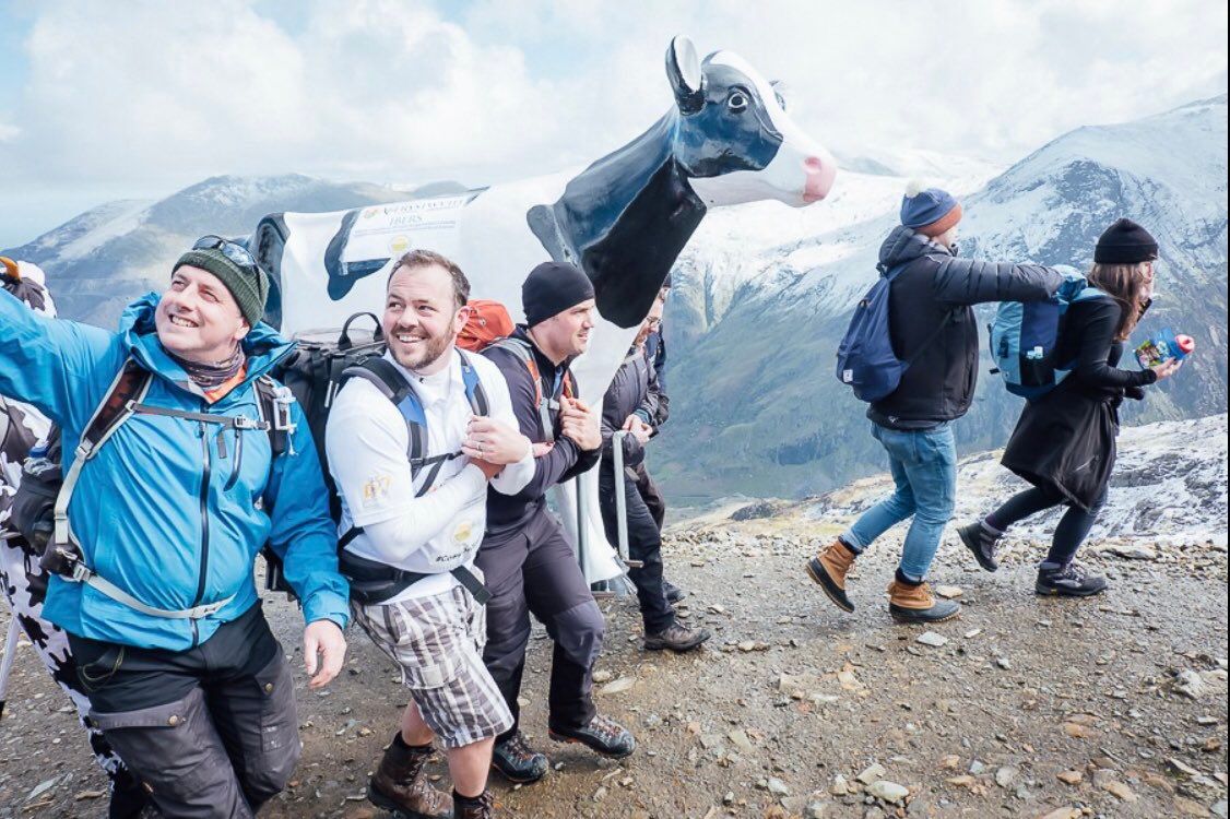 Cows on Tour take to Wales to educate children