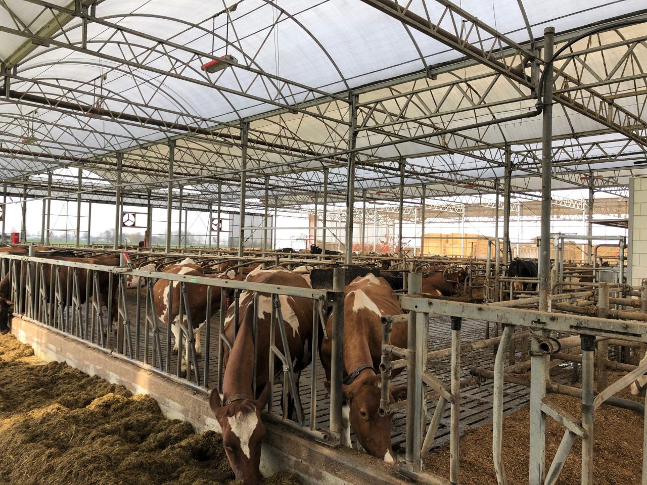Dairy throwback: Keeping labour to a minimum and automation to a maximum