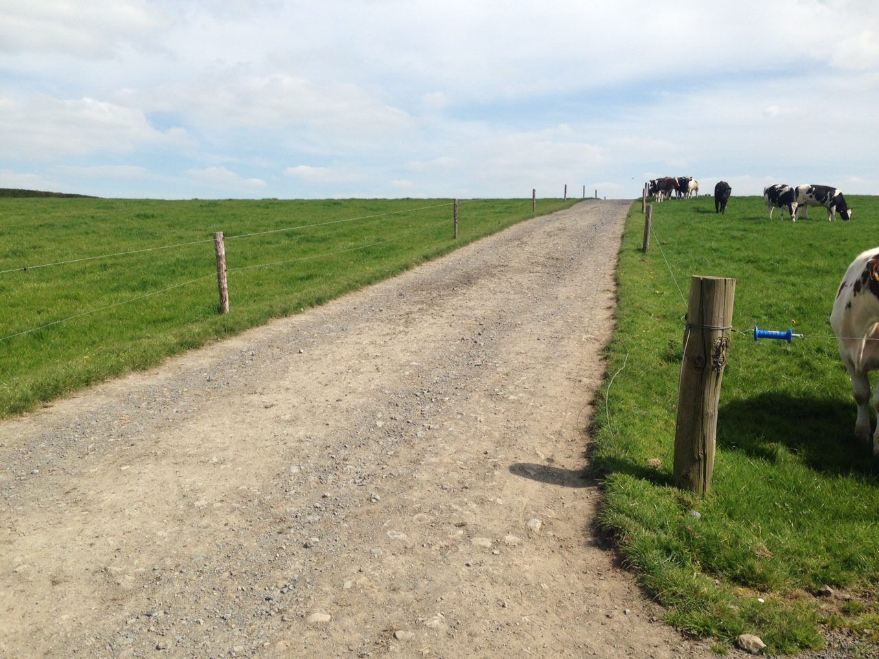 Dairy advice: Farm roadways a worthwhile investment