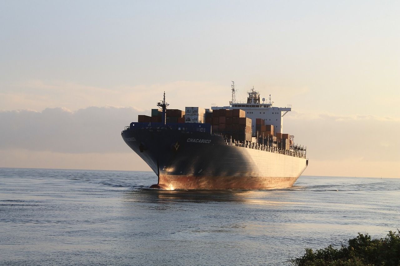 WTO outlines food security actions in annual report