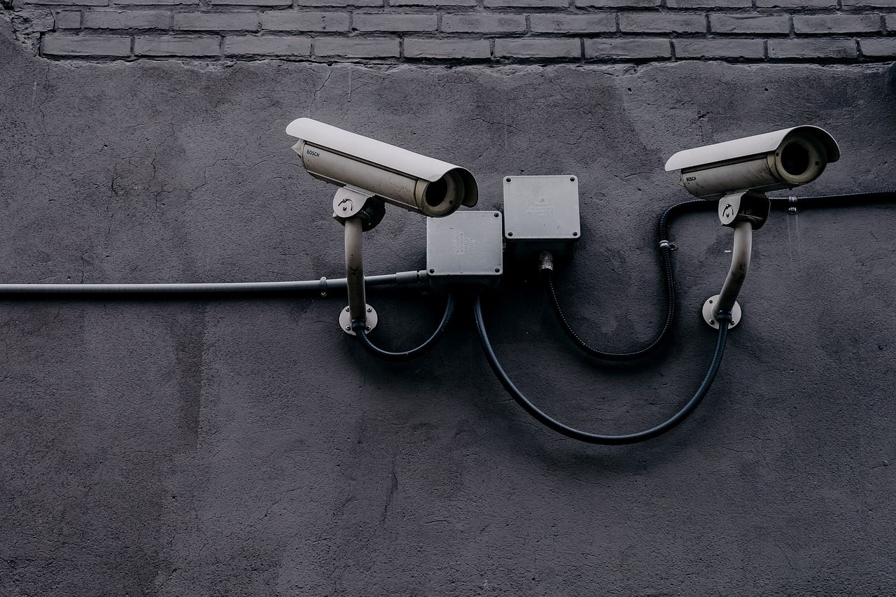 Mandatory CCTV is a 'big step forward' for animal welfare -BVA