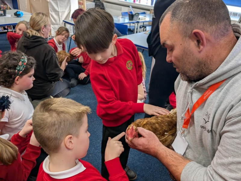 Pet farm renews calls to crowdsource £40,000 to save it