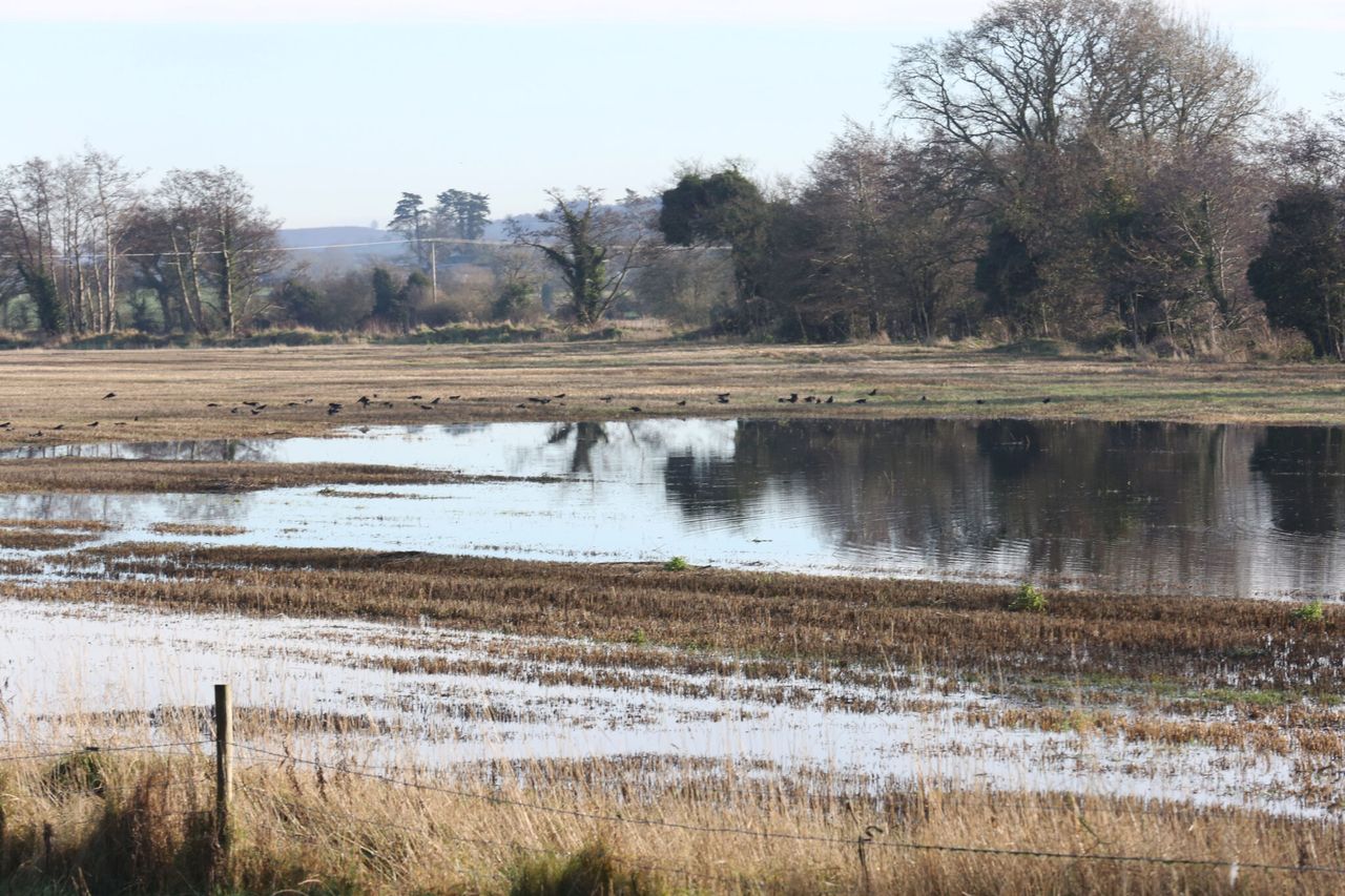 UK government offers grants to farmers impacted by flooding