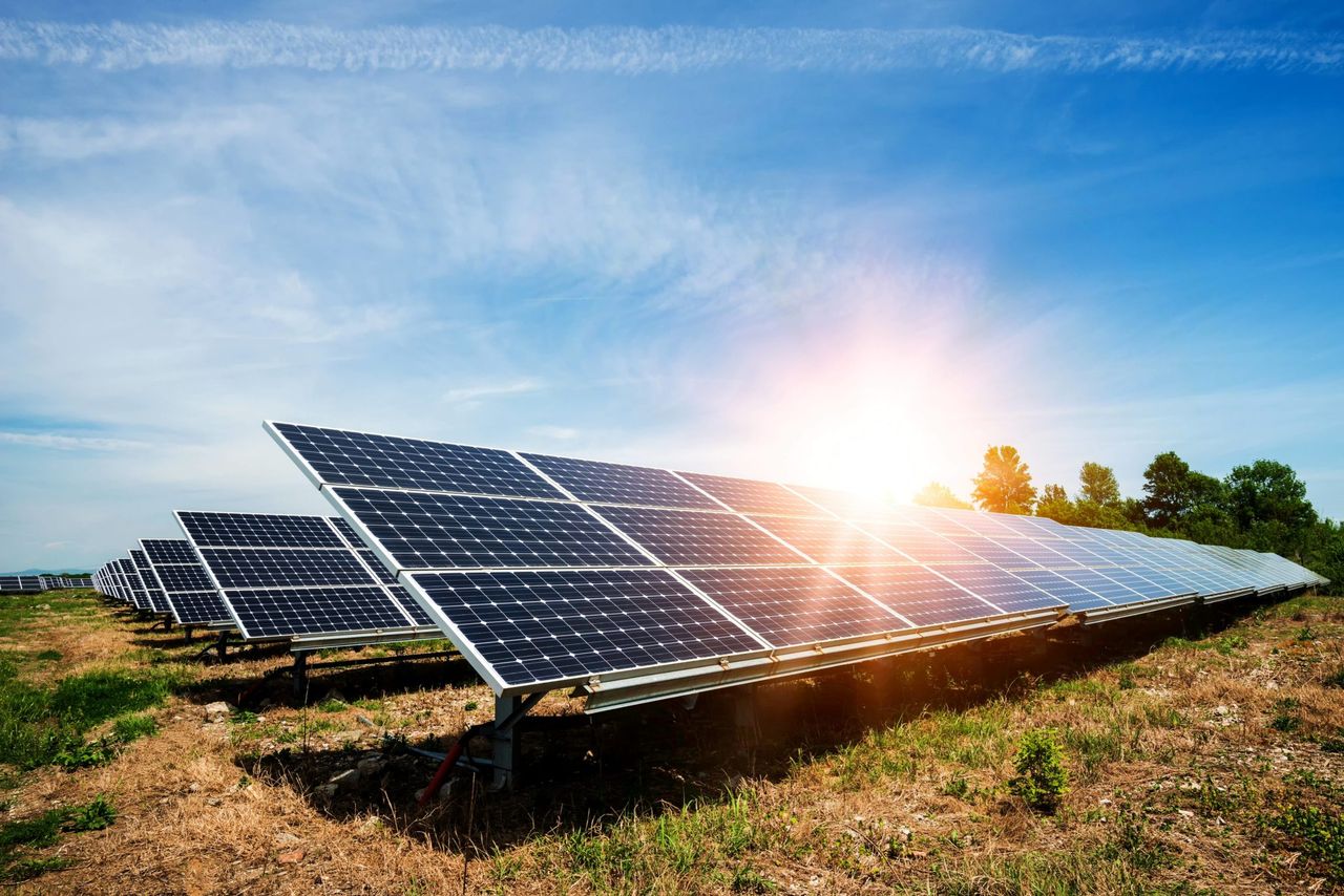 Research: Co-locating crops and solar can increase performance
