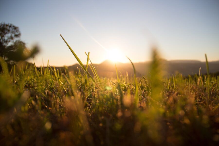 35% of Europe saw ‘extreme’ agricultural drought in May 2025 – report