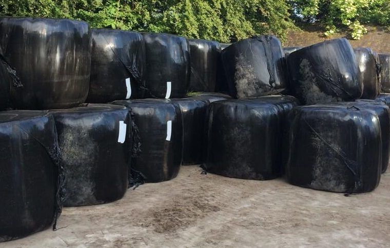 10 steps to take in order to reduce damage to silage bales