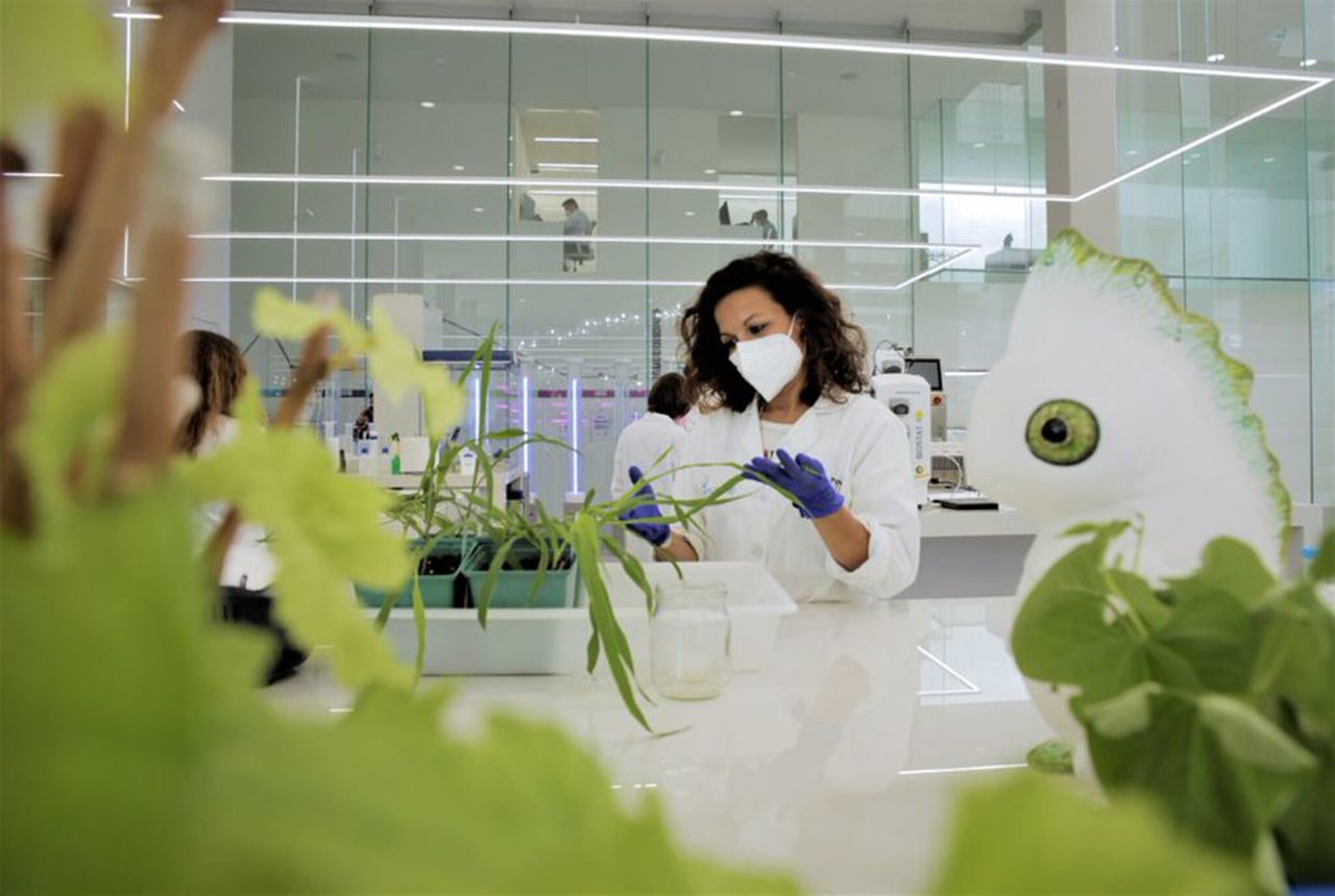 UK focus farms used to highlight impacts of lab-grown meat