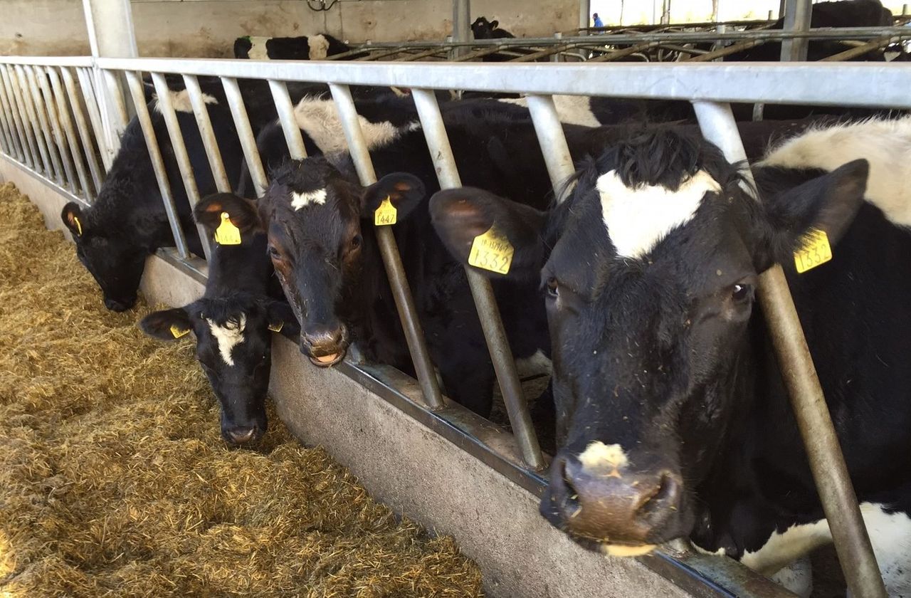 UN General Assembly sees agreement to reduce AMR use