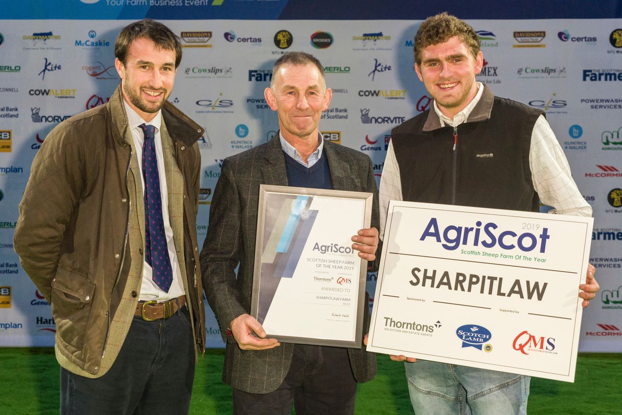 Kelso flock named Scottish Sheep Farm of the Year
