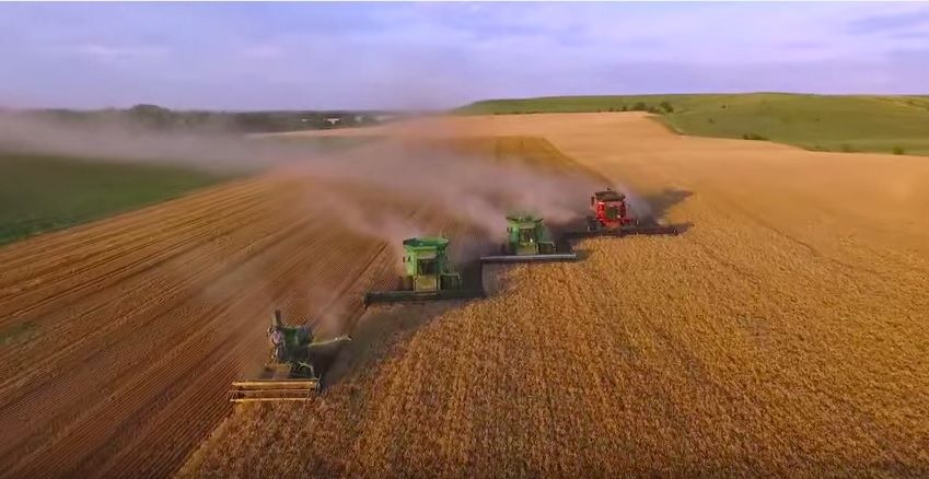 U.S. wheat stocks set to be largest in 29 years