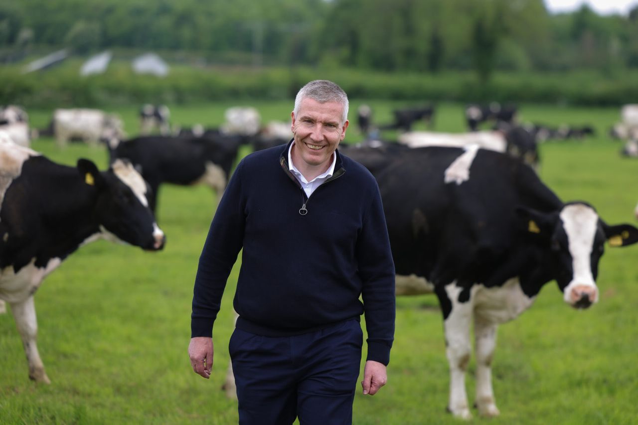 Dairy Council NI: Bovine Genetics Project ‘a groundbreaking initiative’