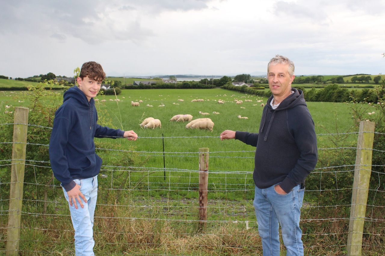 Breeding programmes offer solution to anthelmintic resistance