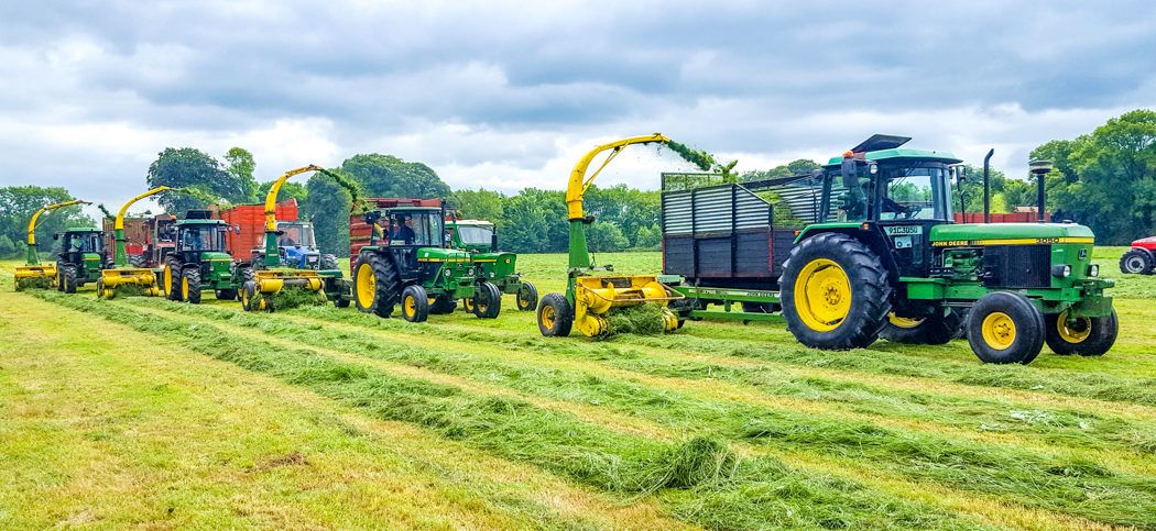 Silage extravaganza: 50 pics showing an army of harvesters in action