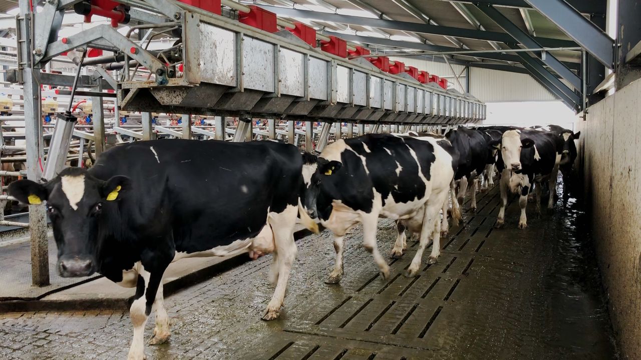 Rebuilding agriculture’s reputation: Now’s time to get back on the front foot