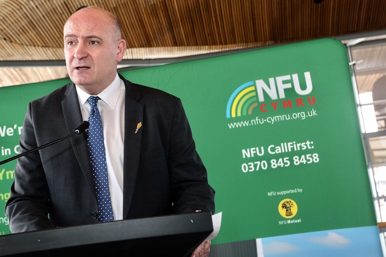 NFU Cymru welcomes 95% payment of BPS to Welsh farmers in its first week