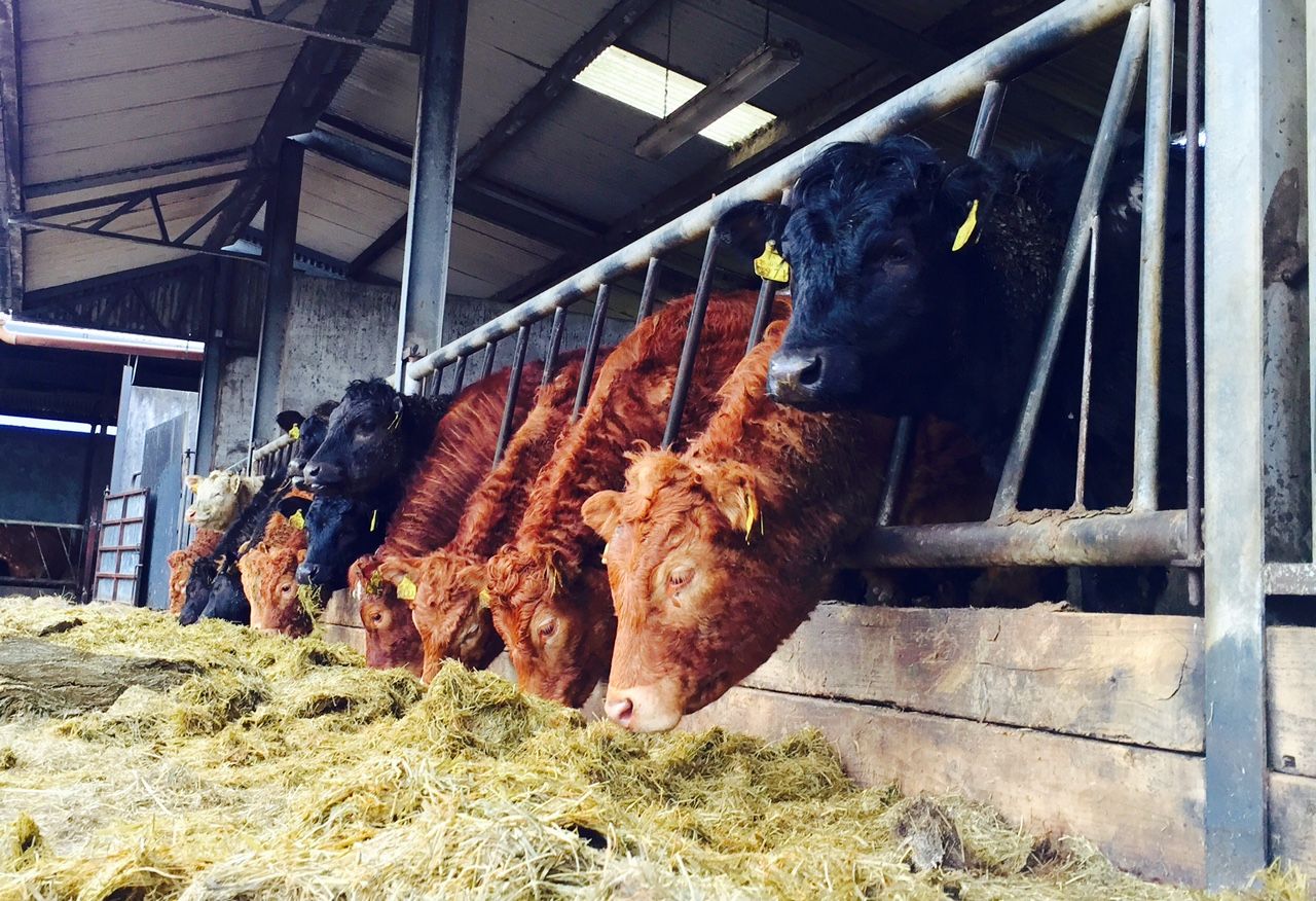 Less frequent TB testing to incentivise strengthened biosecurity