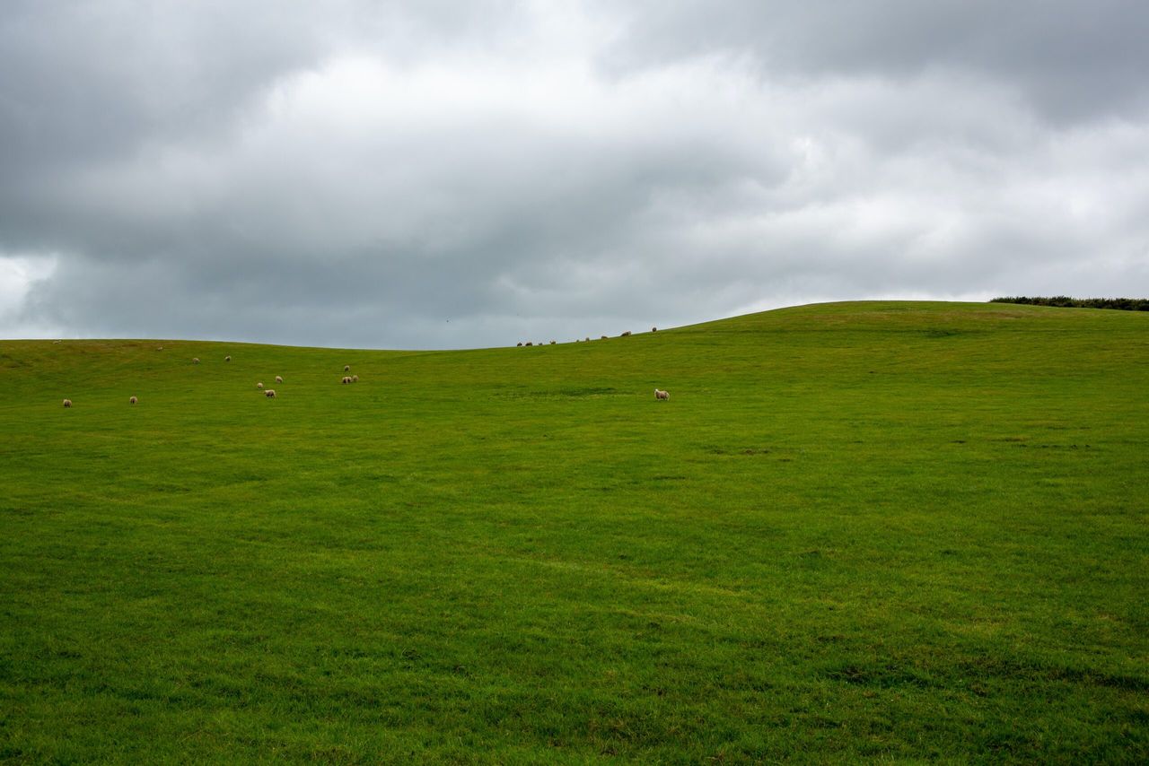Scotland: Views sought on Land Reform Bill
