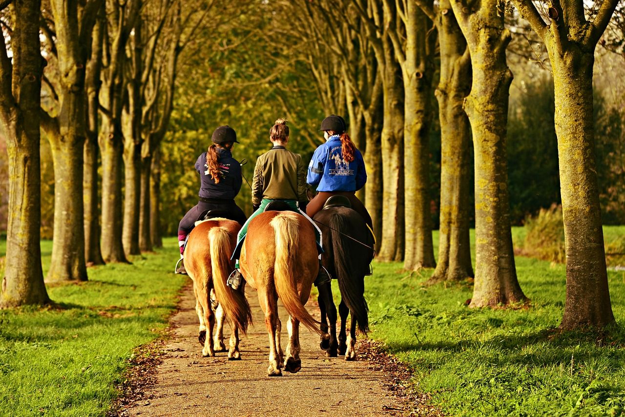 Lincolnshire to introduce 'Rural Rangers' in fight against rural crime