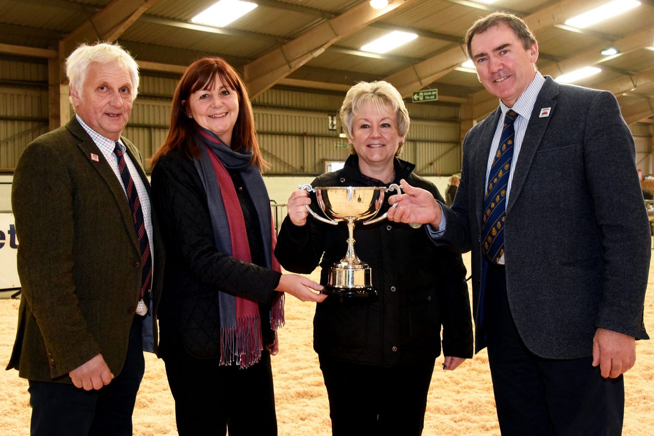 Hunt begins for 2019 Welsh dairy person of the year