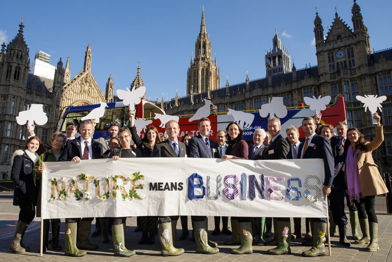 NFFN calls on Gove to set minimum environmental standards for farming