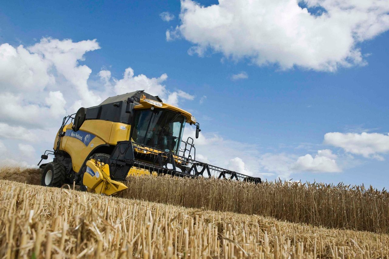 AHDB: Winter wheat harvest gathering pace