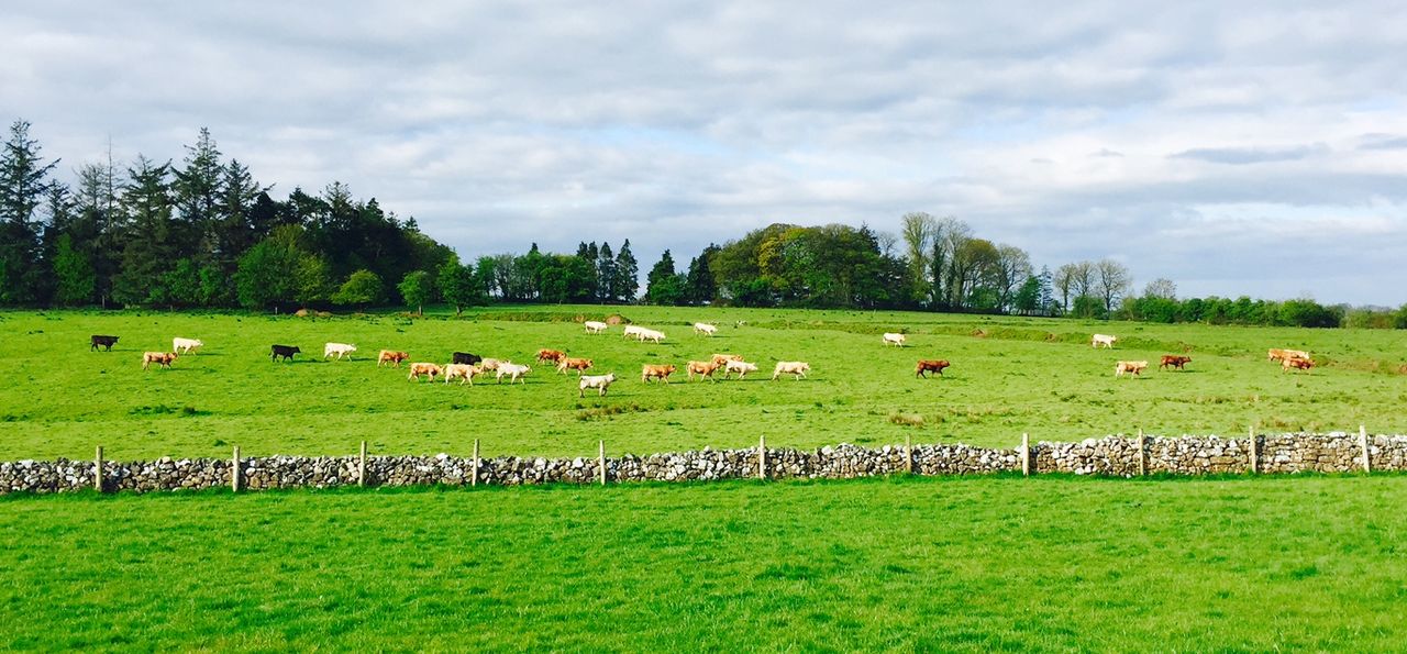 Performance recording is a core requirement for all farm businesses