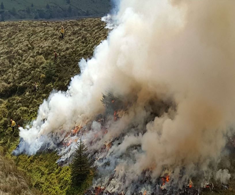 NIEA opens consultation on wildfire management in NI