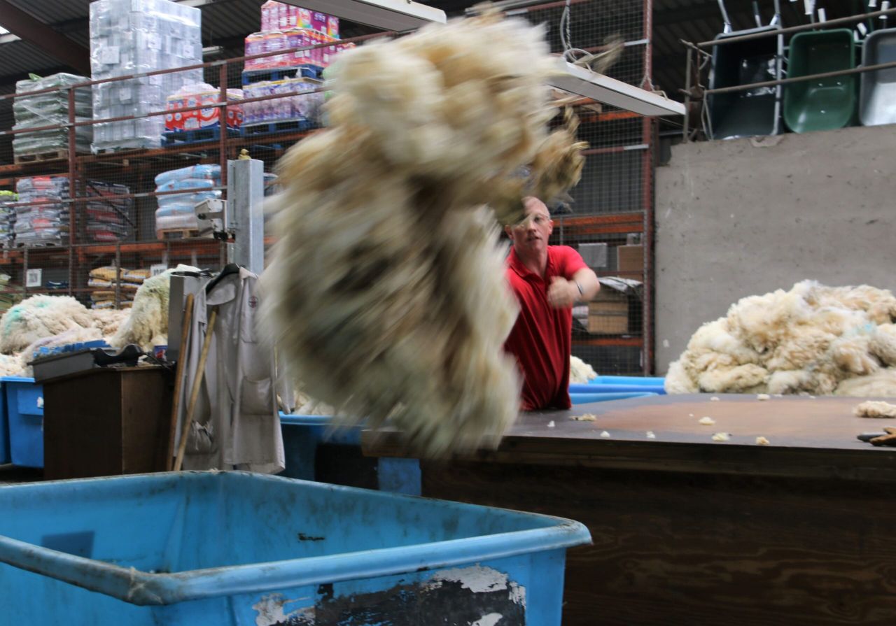 Ulster Wool and NSA to host joint meeting for sheep farmers