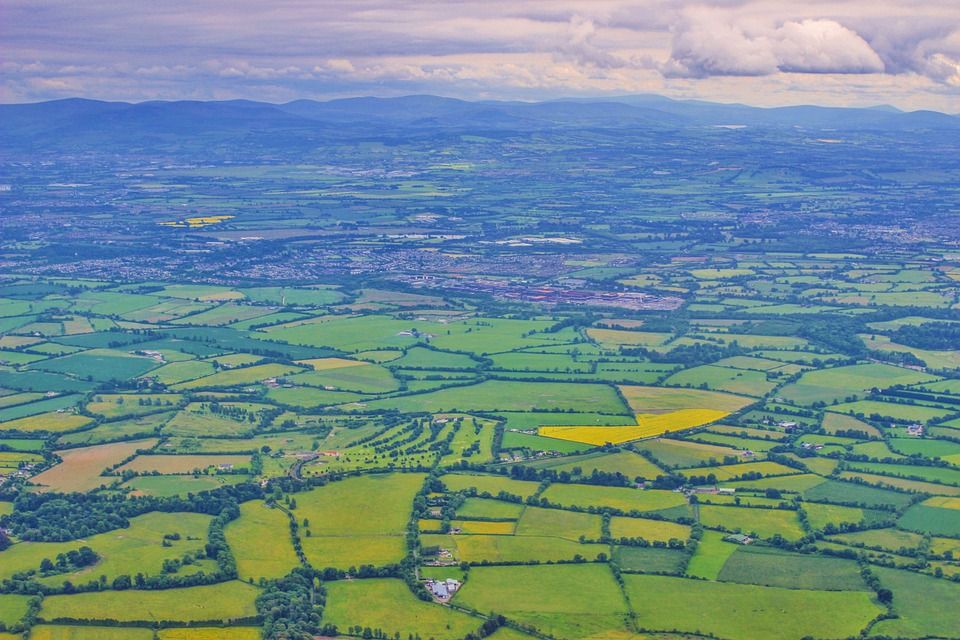 Government unveils plans to restore 300,000ha of habitat across England