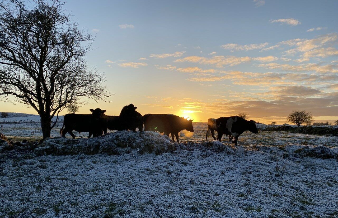 Weekend weather: Sleet, ice and snow as freeze sets in