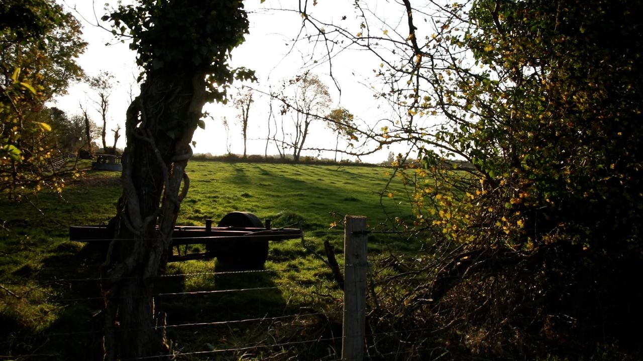 McAleer: NI needs ‘carbon calculator’ to help farms prepare for net-zero