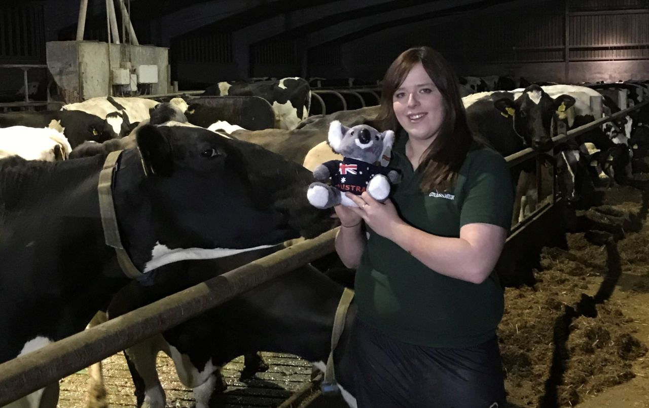 Co. Down dairy farmer wins Holstein Australia scholarship