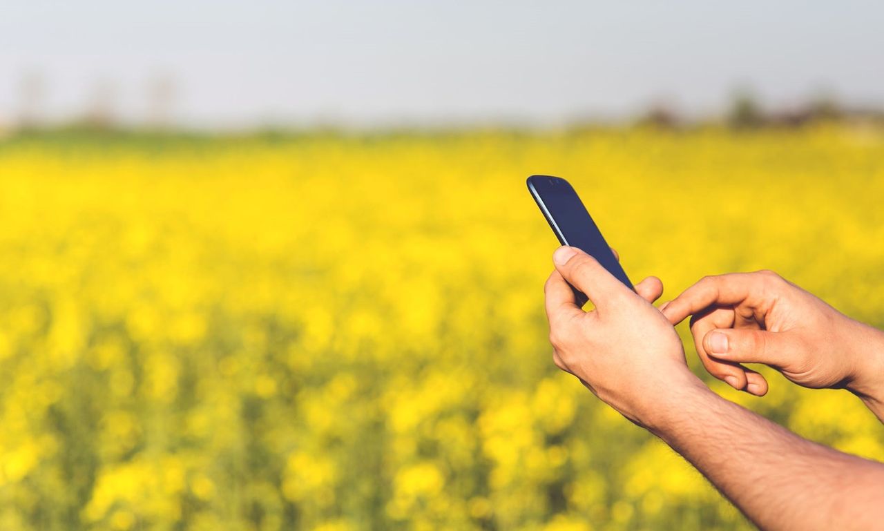 Defra launches free nutrient planning tool for farmers