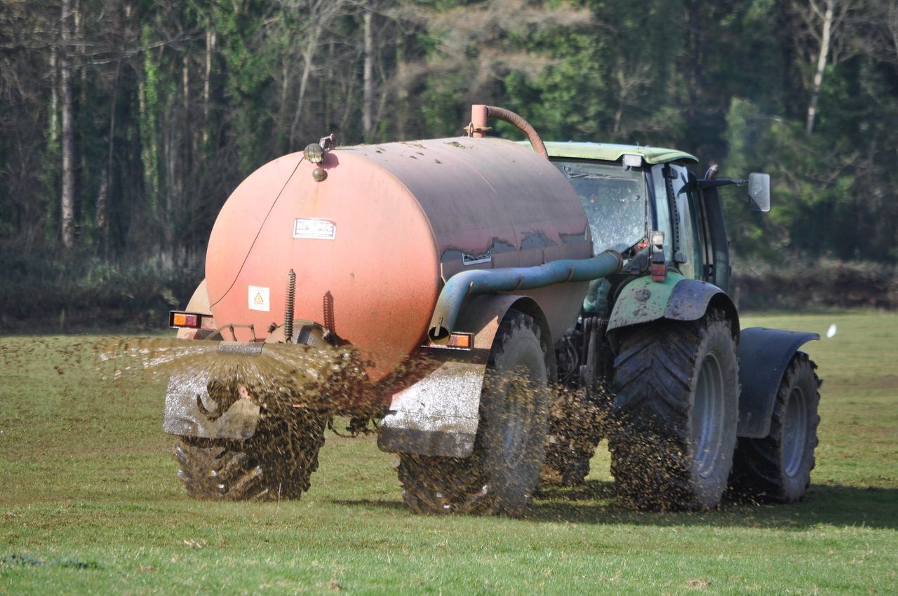 NAP derogation applications and fertilisation account deadline extended in NI