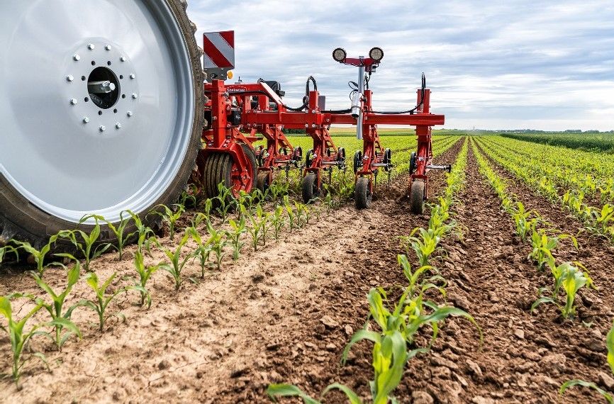 ‘Space to grow’: Steketee sees 30% increase in sales for 2020