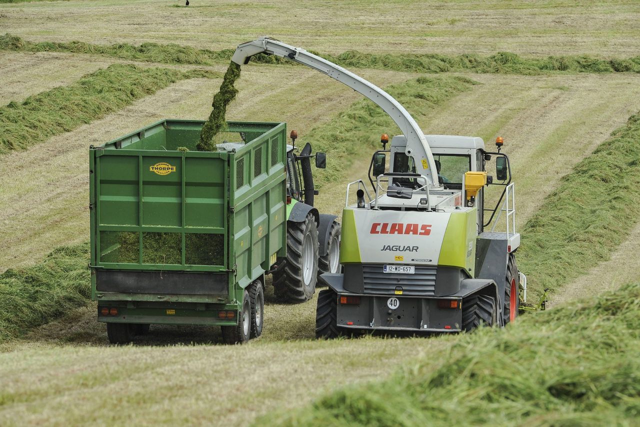 Difficult conditions affect grass growth and silage making