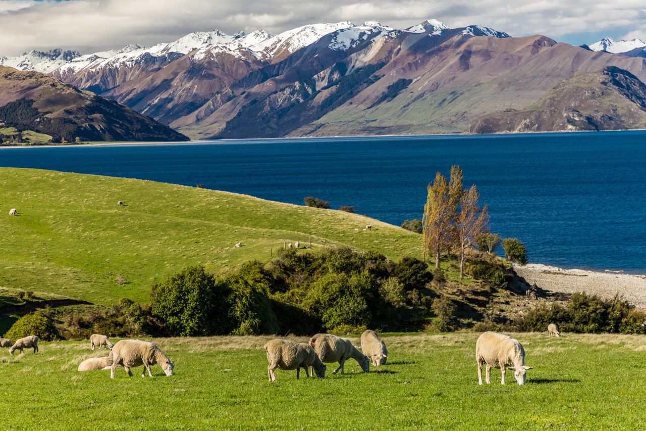 NZ glaciers ‘smashed and shattered’ due to warming