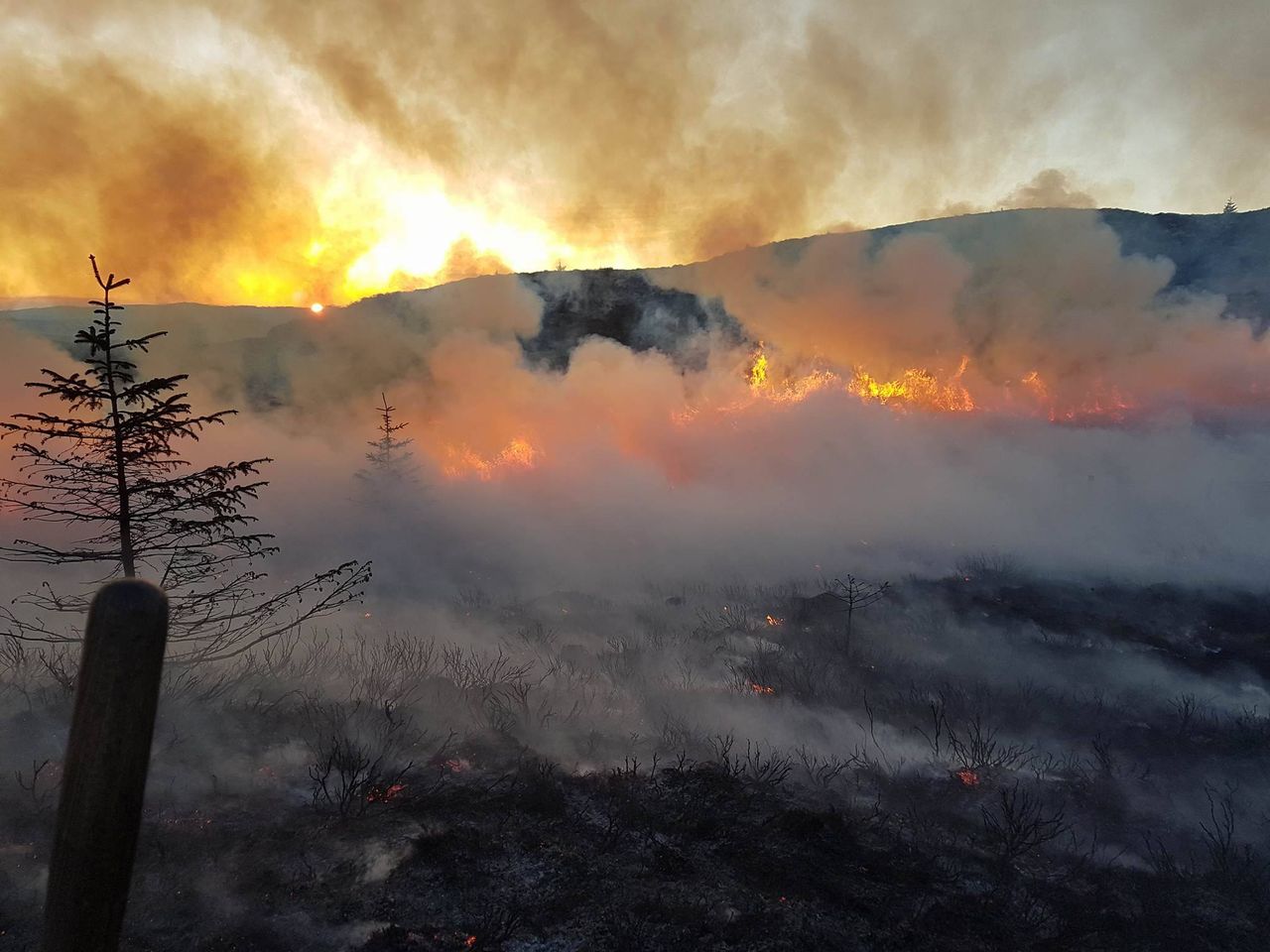 Majority of NI’s 2,200 gorse fires ‘started deliberately’