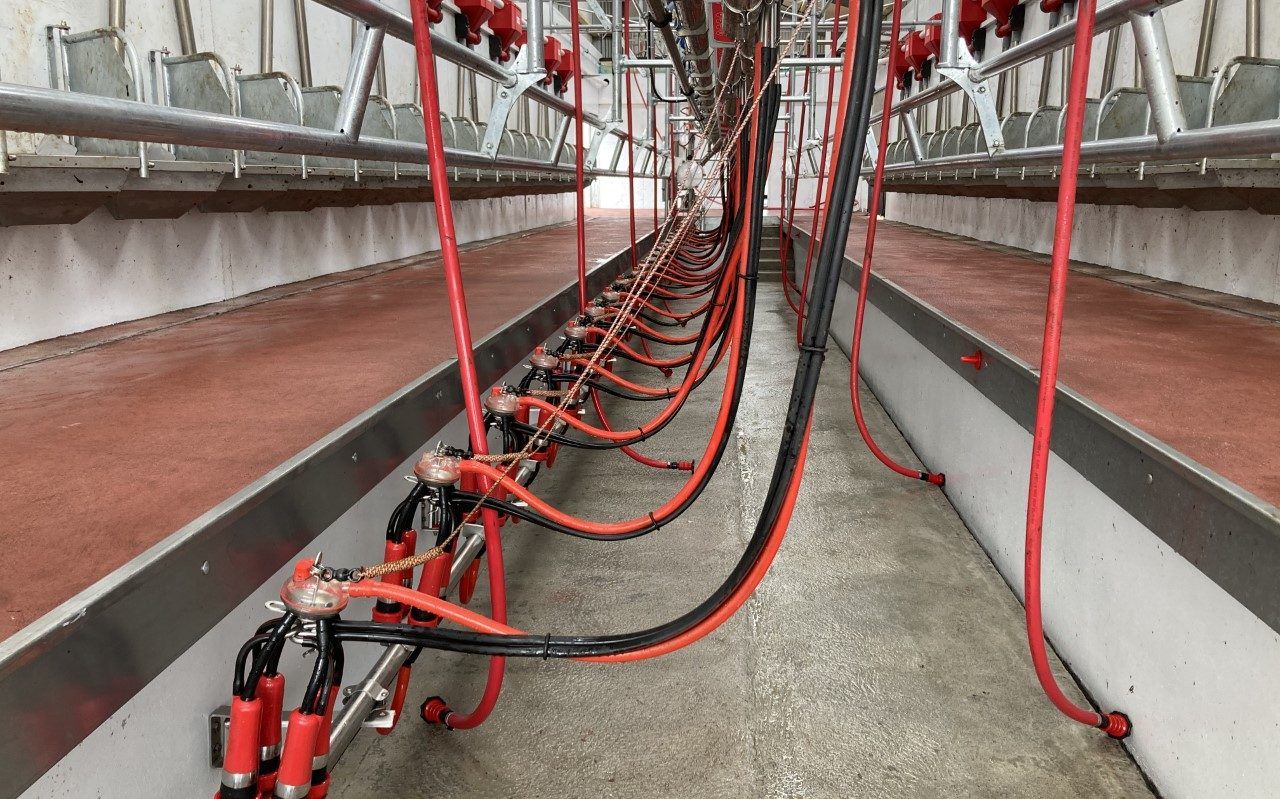GDT hosts first single-product auction