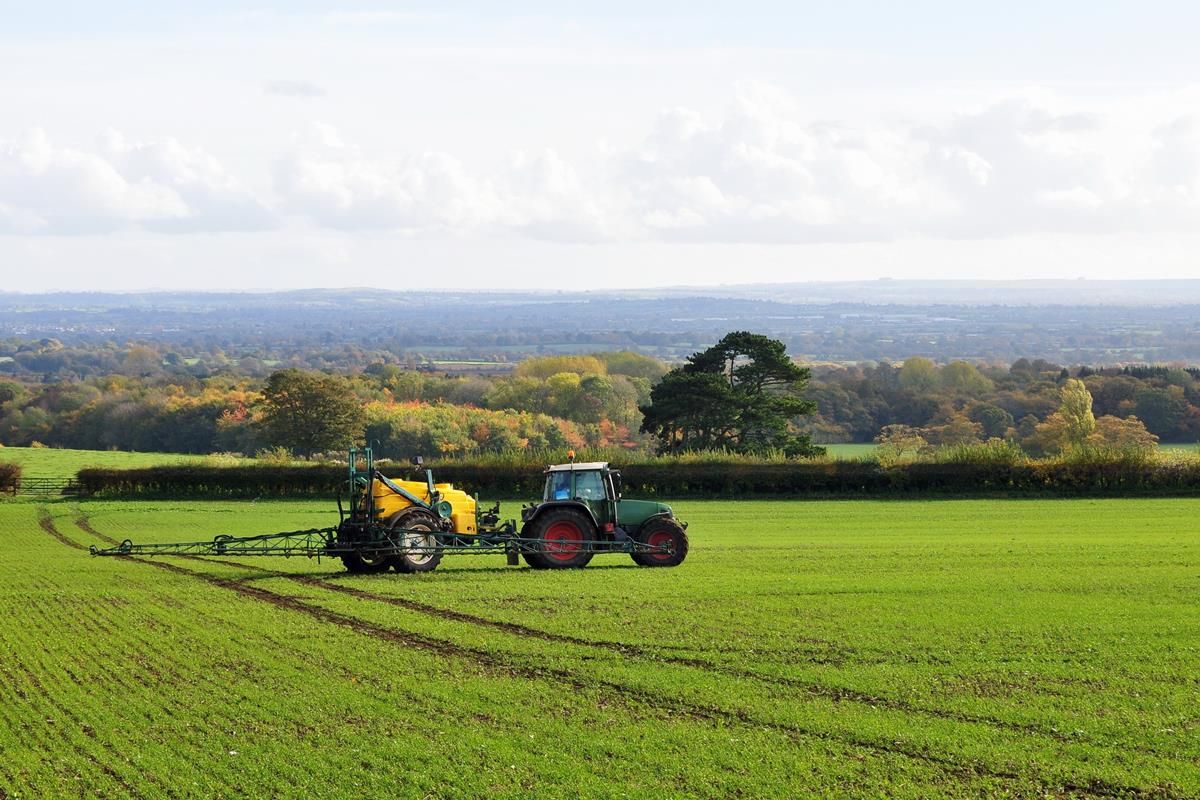 Everything you need to know about glyphosate