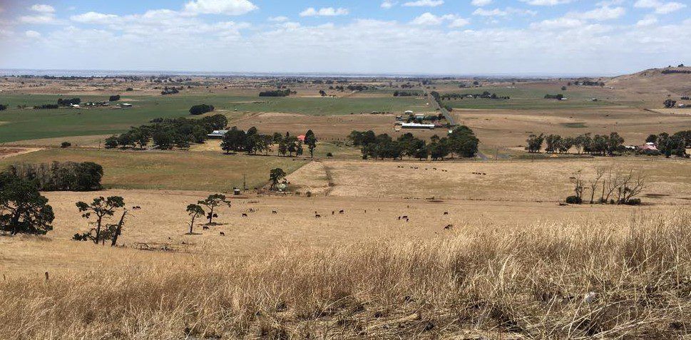 Dairy farming in a volanic valley and exporting to China: Heather reports from Australia
