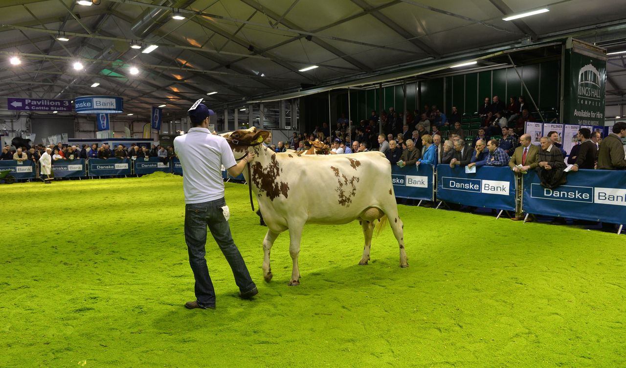 Dairy fairs are a winter wonderland for milk producers