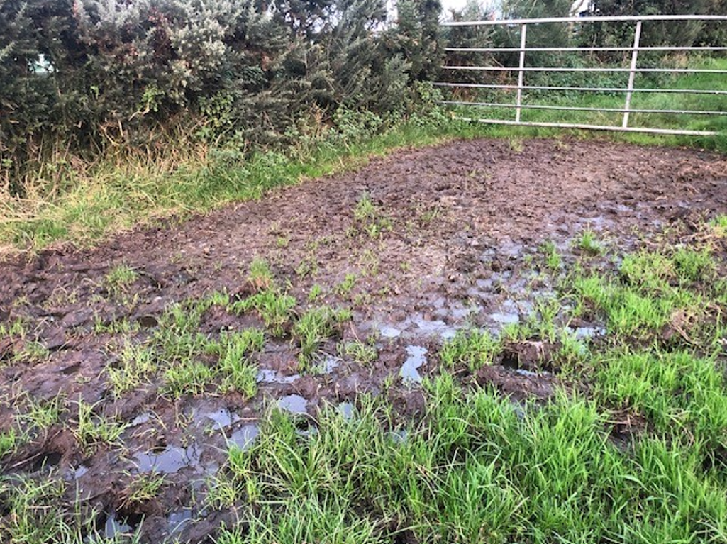 UFU: 2023 was a ‘turbulent year’ for farmers